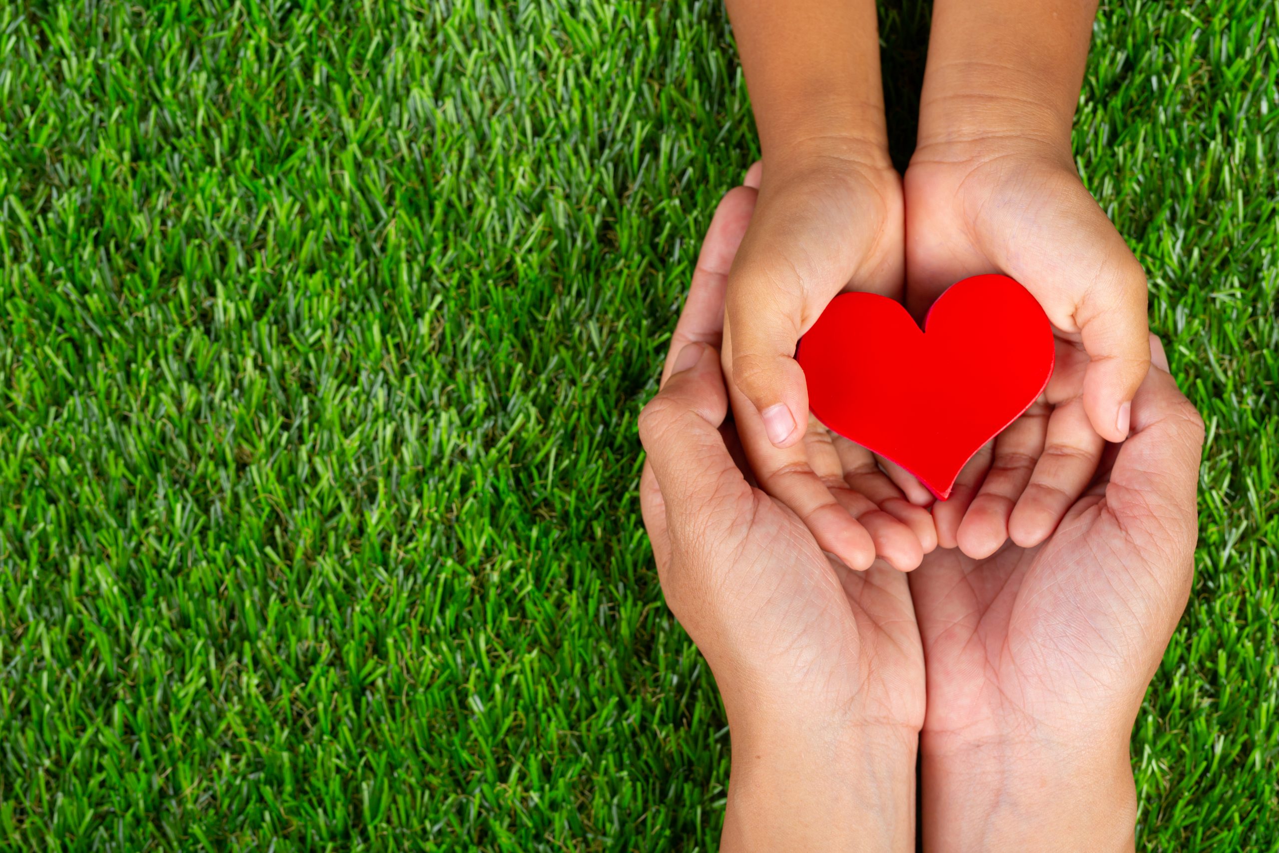 red heart shape in family member’s hands holding